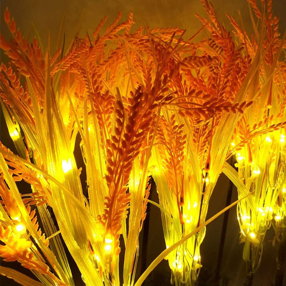 🌈Solar Wheat Lights | Stunning, Waterproof |8-10h Glow –  🌾 🔥Get 50% OFF🔥