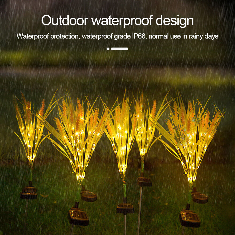 🌈Solar Wheat Lights | Stunning, Waterproof |8-10h Glow –  🌾 🔥Get 50% OFF🔥