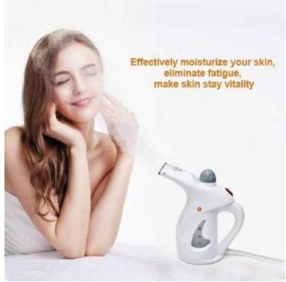 2 in 1 Electric Handheld Steamer for Facial and Garments