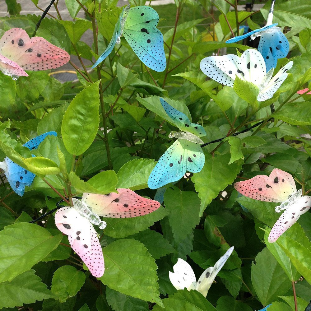 Colorful Butterfly Led Light (PACK OF 12)